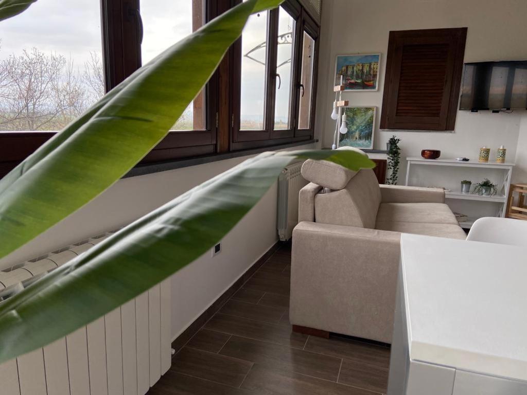 Villa Rosella Appartamento 2 - Con Piscina - 150 M Dal Mare Casa Margherita Bagian luar foto
